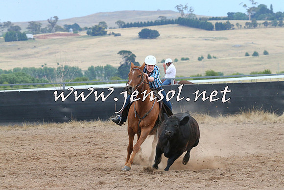 BraidwoodCampdraft2014_2469