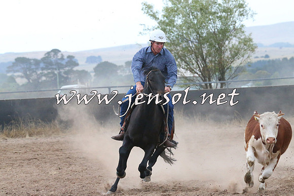 BraidwoodCampdraft2014_2377