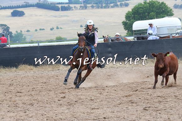 BraidwoodCampdraft2014_2491