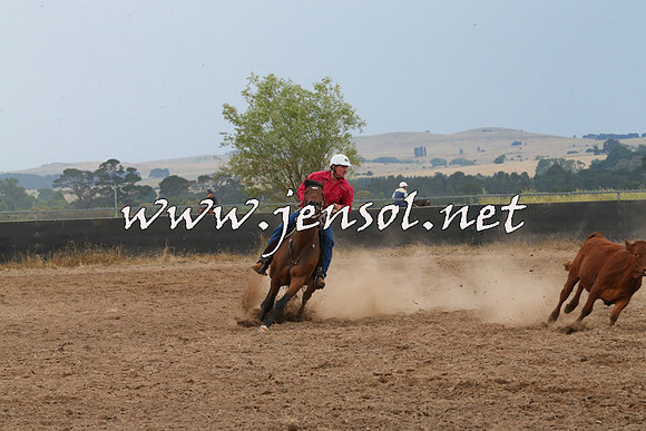 BraidwoodCampdraft2014_2444
