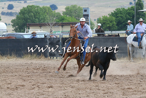 BraidwoodCampdraft2014_2502