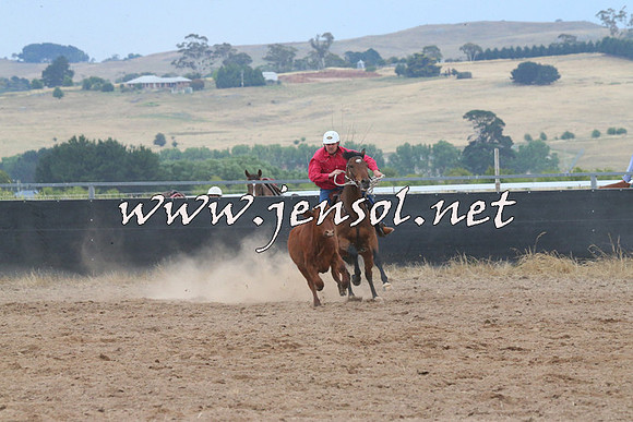 BraidwoodCampdraft2014_2446