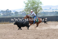 BraidwoodCampdraft2014_2387