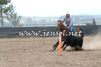 BraidwoodCampdraft2014_2391