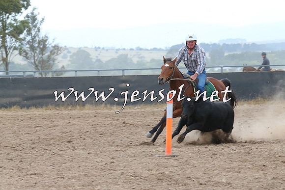 BraidwoodCampdraft2014_2391
