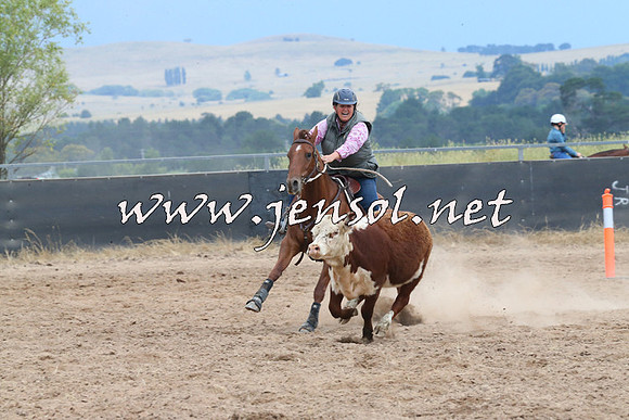 BraidwoodCampdraft2014_2519