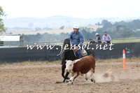 BraidwoodCampdraft2014_2373