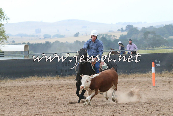 BraidwoodCampdraft2014_2373