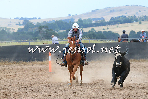 BraidwoodCampdraft2014_2413