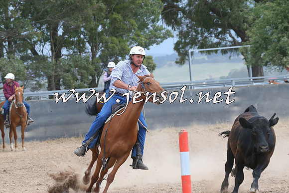 BraidwoodCampdraft2014_2506