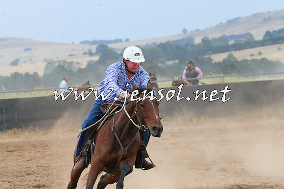 BraidwoodCampdraft2014_2442
