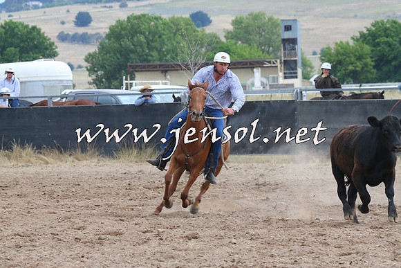 BraidwoodCampdraft2014_2500
