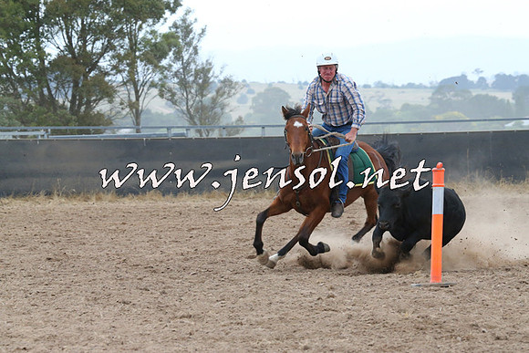BraidwoodCampdraft2014_2393