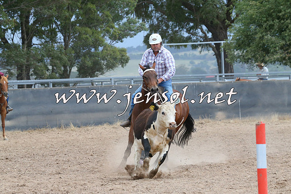 BraidwoodCampdraft2014_2513