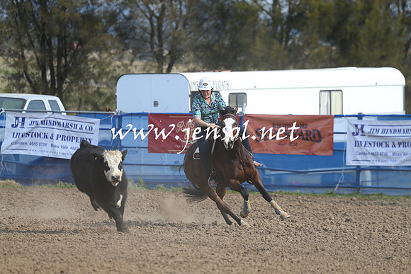 CountyCumberlandCamden_0012