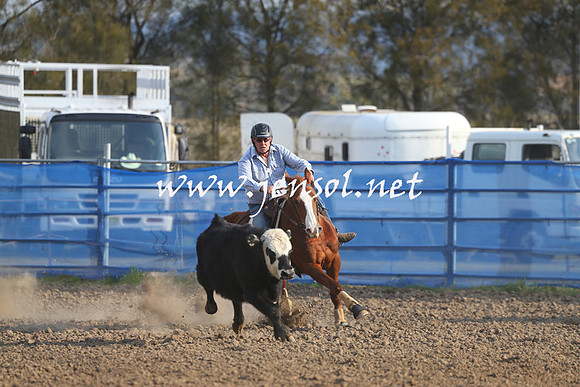 CountyCumberlandCamden_0373