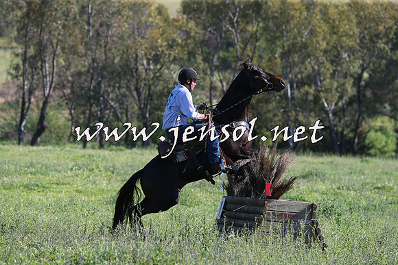 BattleoftheBidgee_1103