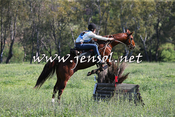 BattleoftheBidgee_1124