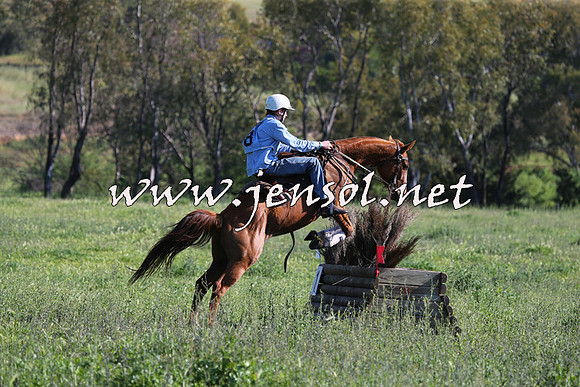 BattleoftheBidgee_1138