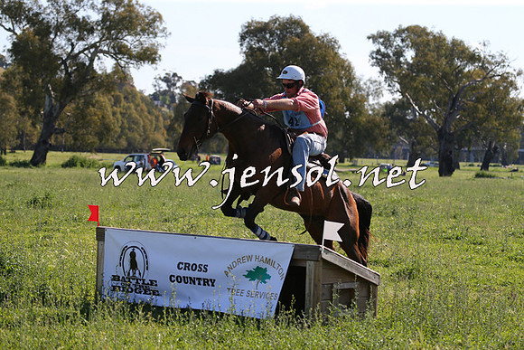 BattleoftheBidgee_1114