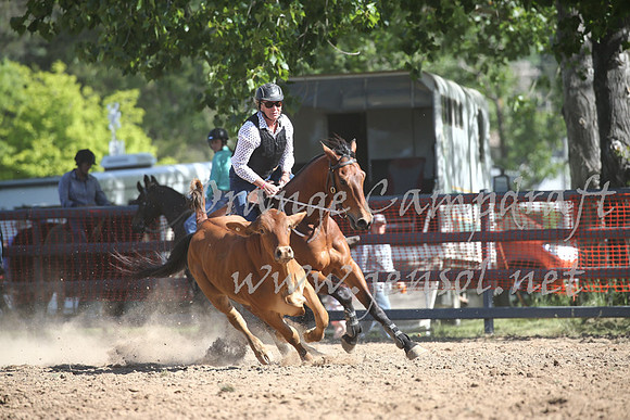 OrangeCampdraft_0432