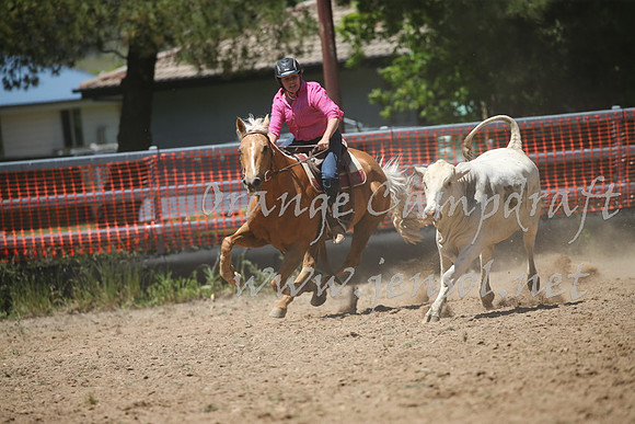 OrangeCampdraft_0128