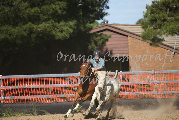 OrangeCampdraft_0456