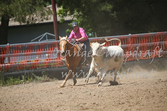 OrangeCampdraft_0124