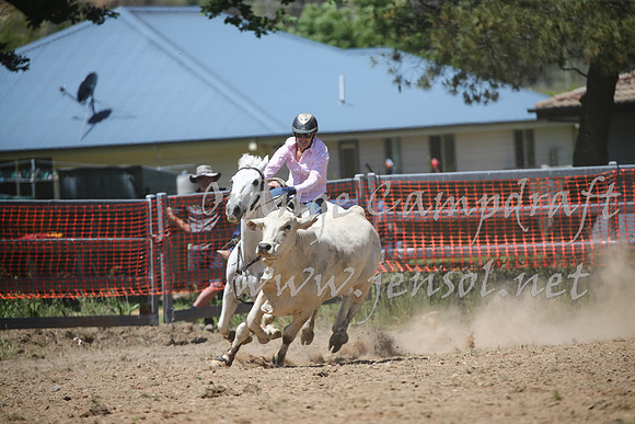 OrangeCampdraft_0219