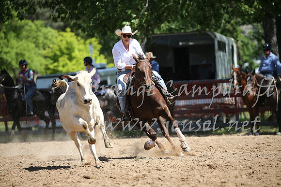 OrangeCampdraft_0379