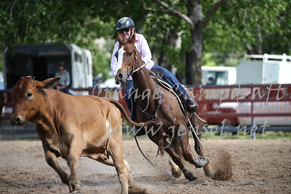 OrangeCampdraft_0386