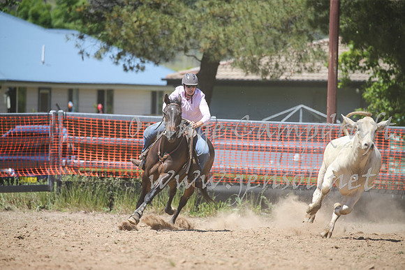 OrangeCampdraft_0244