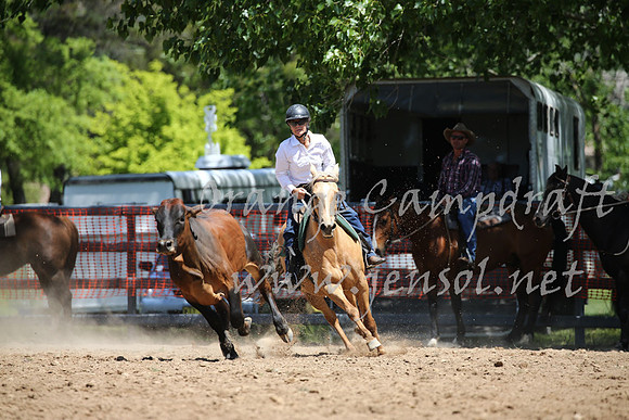 OrangeCampdraft_0164