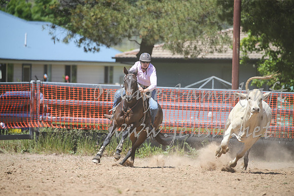 OrangeCampdraft_0238