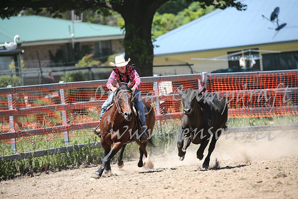 OrangeCampdraft_0339
