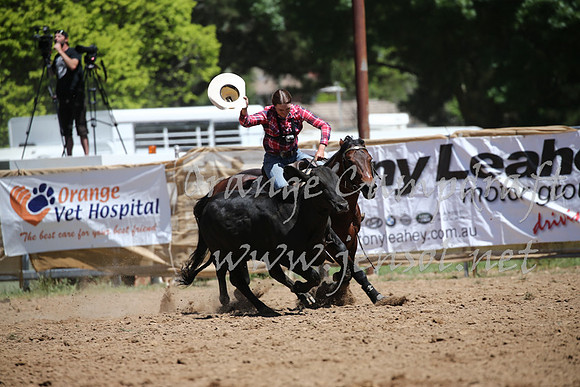 OrangeCampdraft_0355