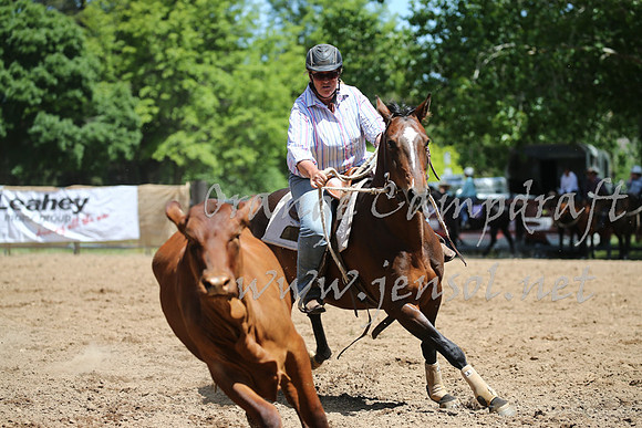 OrangeCampdraft_0257