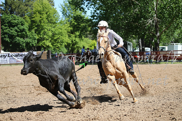 OrangeCampdraft_0384