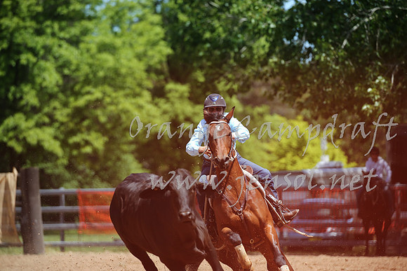 OrangeCampdraft_0204