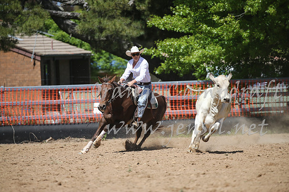 OrangeCampdraft_0366