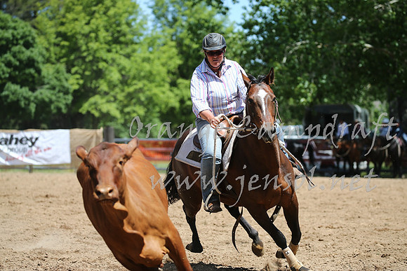 OrangeCampdraft_0256