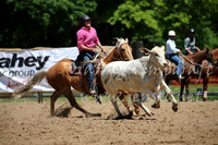 OrangeCampdraft_0130