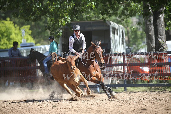 OrangeCampdraft_0431