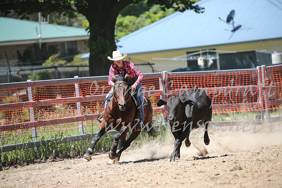 OrangeCampdraft_0336