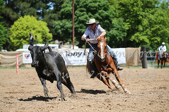 OrangeCampdraft_0183