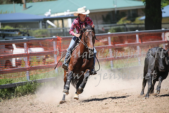 OrangeCampdraft_0334