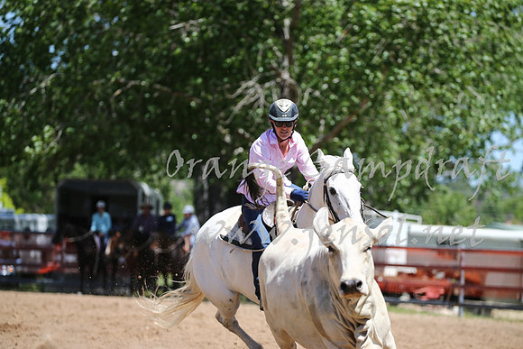 OrangeCampdraft_0216