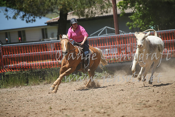 OrangeCampdraft_0126