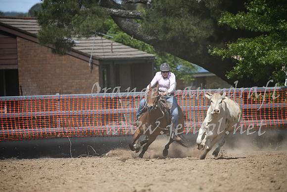 OrangeCampdraft_0395