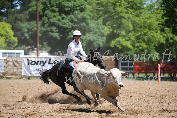OrangeCampdraft_0299
